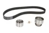 <strong>Роликовий модуль натягувача ременя (ролик, ремінь) SKF VKMA 94012 (фото 1)</strong>