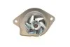 <strong>Комплект (ремінь+ролик+помпа) SKF VKMC 01121-1 (фото 9)</strong>