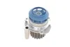 <strong>Комплект (ремінь+ролик+помпа) SKF VKMC01259-1 (фото 3)</strong>