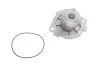 <strong>Водяний насос + комплект зубчастого ременя SKF VKMC 05194 (фото 14)</strong>