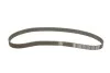 <strong>Водяний насос + комплект зубчастого ременя SKF VKMC 06020 (фото 2)</strong>