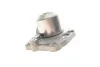 <strong>Комплект (ремінь+ролик+помпа) SKF VKMC06106 (фото 15)</strong>