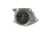 <strong>Комплект (ремінь+ролик+помпа) SKF VKMC 06127 (фото 7)</strong>