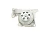 <strong>Комплект (ремінь+ролик+помпа) SKF VKMC 06134-3 (фото 11)</strong>