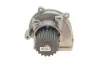<strong>Комплект (ремінь+ролик+помпа) SKF VKMC 94920-1 (фото 13)</strong>