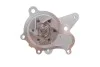 <strong>Водяний насос + комплект зубчастого ременя SKF VKMC 95660-3 (фото 7)</strong>