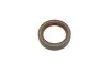 <strong>Комплект ланцюг натягувач SKF VKML 81002 (фото 7)</strong>