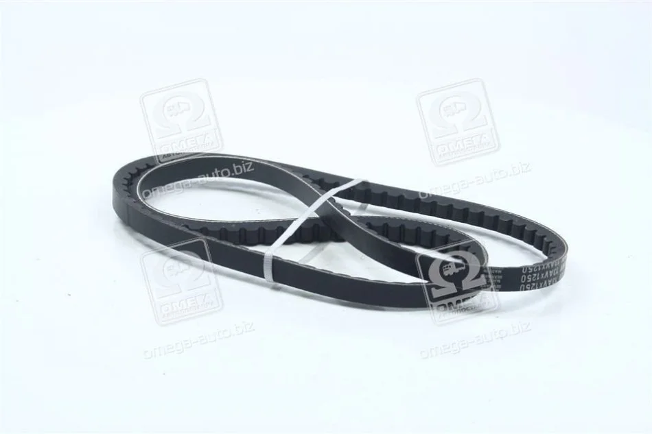<strong>Клиновий ремінь SKF VKMV 13AVX1250 (фото 1)</strong>