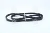 <strong>Клиновий ремінь SKF VKMV 13AVX1250 (фото 3)</strong>
