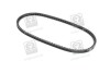 Ремень клиновой 13X875 DAEWOO Espero FIAT MAZDA 323 DB NISSAN OPEL... SKF VKMV 13AVX875 (фото 1)