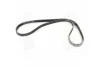 <strong>Полікліновий ремінь SKF VKMV 5PK1300 (фото 3)</strong>