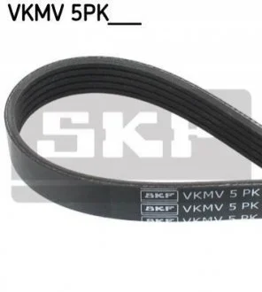Ремень поликлиновый 5PK810 для BMW SKF VKMV 5PK810 фото товару