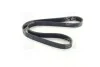 <strong>Полікліновий ремінь SKF VKMV 6PK1042 (фото 3)</strong>