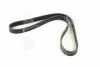 <strong>Ремінь поліклиновий SKF VKMV 6PK1100 (фото 1)</strong>