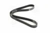 <strong>Ремінь поліклиновий SKF VKMV 6PK1100 (фото 4)</strong>