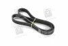 <strong>Полікліновий ремінь SKF VKMV 6PK1117 (фото 1)</strong>