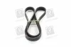 <strong>Полікліновий ремінь SKF VKMV 6PK1117 (фото 2)</strong>