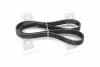 <strong>Полікліновий ремінь SKF VKMV 6PK1117 (фото 3)</strong>