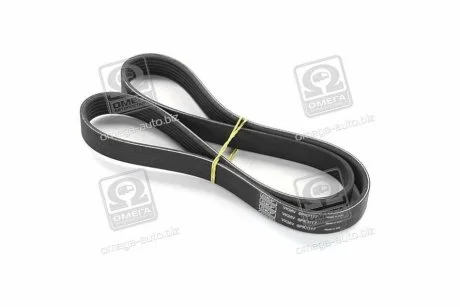 Поликлиновой ремень для SKF VKMV 6PK1117 фото товара
