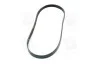 <strong>Ремінь SKF VKMV 6PK1180 (фото 4)</strong>