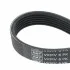 <strong>Полікліновий ремінь SKF VKMV 6PK1698 (фото 1)</strong>