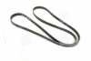 <strong>Полікліновий ремінь SKF VKMV 6PK2155 (фото 1)</strong>