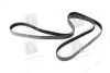<strong>Полікліновий ремінь SKF VKMV 6PK2270 (фото 3)</strong>