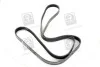 <strong>Полікліновий ремінь SKF VKMV 6PK2270 (фото 4)</strong>