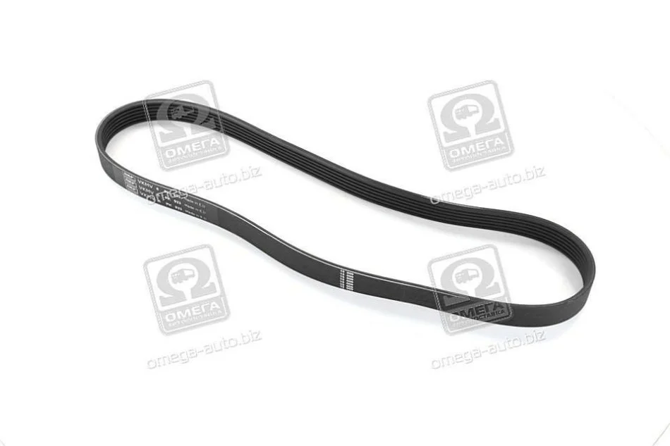 <strong>Полікліновий ремінь SKF VKMV 6PK923 (фото 1)</strong>