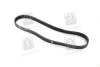 <strong>Полікліновий ремінь SKF VKMV 6PK923 (фото 1)</strong>