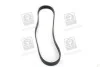 <strong>Полікліновий ремінь SKF VKMV 6PK923 (фото 2)</strong>
