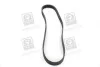 <strong>Полікліновий ремінь SKF VKMV 6PK923 (фото 4)</strong>
