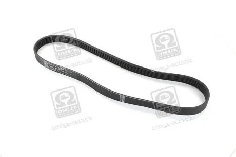 Полікліновий ремінь для Seat, Skoda, Volkswagen, Toyota, Citroen SKF VKMV 6PK923 фото товару