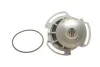 Помпа води для Volkswagen, Seat SKF VKPC 81204 фото товару