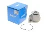 <strong>Водяний насос SKF VKPC 81213 (фото 1)</strong>