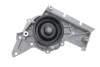 <strong>Насос охолоджуючої рідини (Вир-во) SKF VKPC 81304 (фото 9)</strong>