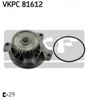 Водяний насос для Audi, Zaz SKF VKPC 81612 фото товару