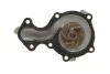 <strong>Насос водяний SKF VKPC 84219 (фото 3)</strong>