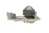 <strong>Водяний насос SKF VKPC86216 (фото 5)</strong>