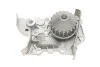 <strong>Водяний насос SKF VKPC86216 (фото 6)</strong>