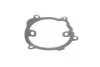 <strong>Водяний насос SKF VKPC 86305 (фото 8)</strong>