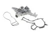 <strong>Водяний насос SKF VKPC88846 (фото 1)</strong>