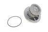 Помпа води для Daewoo, Chevrolet, Zaz SKF VKPC 90202 фото товару
