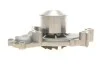 <strong>Водяний насос SKF VKPC 91822 (фото 4)</strong>