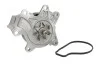 <strong>Водяний насос SKF VKPC 91866 (фото 1)</strong>