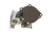 <strong>Водяний насос SKF VKPC95881 (фото 4)</strong>