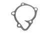 <strong>Водяний насос (Вир-во) SKF VKPC 95891 (фото 3)</strong>