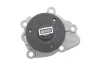 <strong>Водяний насос (Вир-во) SKF VKPC 95891 (фото 6)</strong>