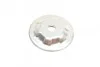<strong>Підшипник верхньої опори кульковий SNR NTN M253.10 (фото 3)</strong>