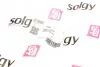 <strong>Патрубок інтеркулера SOLGY 114257 (фото 3)</strong>